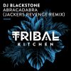 Download track Abracadabra (Jackers Revenge Remix)