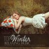 Download track Winter Meadow