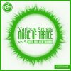 Download track Magic Of Trance, Vol. 5 (Continuous Dj Mix)