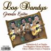 Download track Quinceañera De Los Dandy's