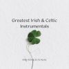 Download track Down By The Beach Celtic Spa Music For Deep Relaxating