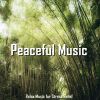 Download track Ancestral Tibetan Meditation