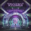 Download track No Shields (Transient Disorder Remix)