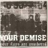 Download track Your Demise