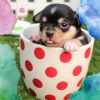 Download track Luxurious Backdrops For Cute Dogs