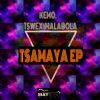 Download track Tsamaya