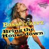 Download track Bring The House Down (Radio)