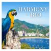 Download track Brazilian Sunset Serenity