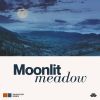 Download track The Moonlit Meadow's Whispers