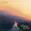 Download track Wylder - The Waking Sound