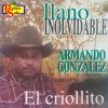 Download track Hay Un Baile En Mi Llanura