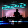 Download track Undeground Bliss (Original Mix)