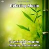 Download track Relaxation Music Pt. 91