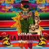 Download track Soy Ese Aguila Que Vuela En Tu Jardin