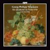 Download track Quartet F Major 2. Divertimento I: Allegro