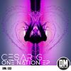 Download track One Nation