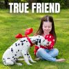 Download track Friends Family