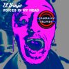 Download track Voices In My Head