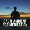 Download track Light Meditation, Pt. 4