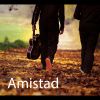 Download track Amistad