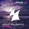 Download track Amnesia (Extended Mix)