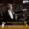 Download track Symphony No. 5 In E Minor Op. 64: 1. Andante - Allegro Con Anima