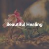 Download track Beautiful Healing, Pt. 4