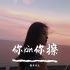 Download track 你说你说你还是爱我