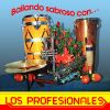 Download track A Los Salseros