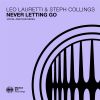 Download track Never Letting Go (Dub Extended Mix)