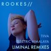 Download track Liminal (Electric Himalaya Remix)