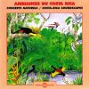 Download track Amazona Automnalis - Red Lorred And Mealy Parrots