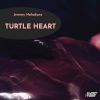 Download track Turtle Heart III. Opening The Tomb