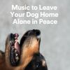 Download track Music To Leave Your Dog Home Alone In Peace, Pt. 18