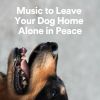 Download track Music To Leave Your Dog Home Alone In Peace, Pt. 16