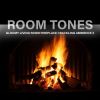 Download track Gloomy Living Room Fireplace Crackling Ambience, Pt. 2