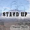 Download track Stand Up