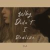 Download track Why Didn’t I Realize (Inst.)