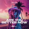 Download track Are You Better Now (Extended Mix)