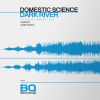 Download track Dark River