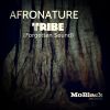 Download track The Tribe Artistic Molekane (Raw Cut)