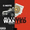 Download track All I Really Wanted