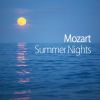 Download track Mozart- Andante For Flute And Orchestra In C Major, K. 315