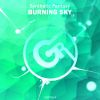 Download track Synthetic Fantasy-Burning Sky (Original Mix)