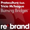 Download track Burning Bridges (Original Mix)