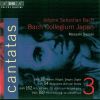 Download track 'Himmelskonig, Sei Willkommen' BWV 182 - I. Sonata