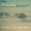 Download track Tchaikovsky: String Quartet No. 1 In D Major, Op. 11, TH 111 (Arr. J. Azkoul For String Ensemble): II. Andante Cantabile