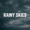 Download track Delightful Rain