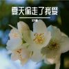 Download track 把寂寞当做晚餐