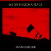 Download track We Die In Such A Place